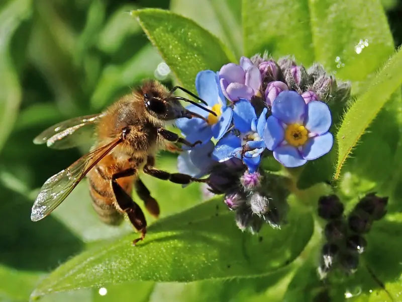 他会不会就这么忘了我？