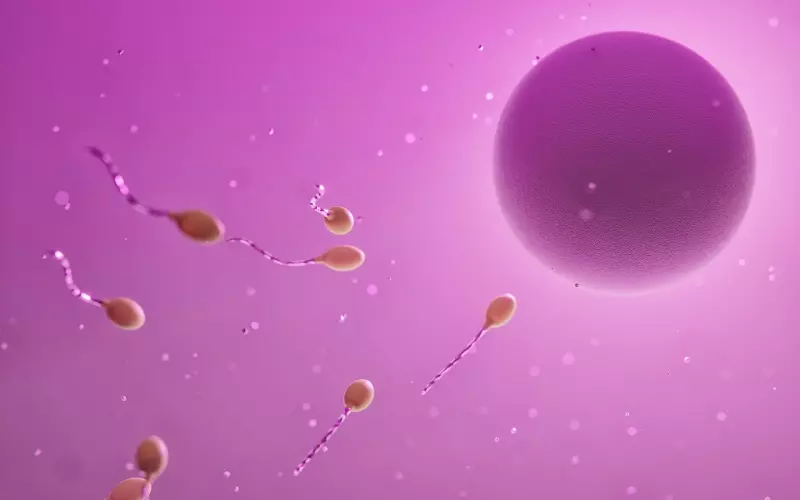 分手后再复合会长久吗