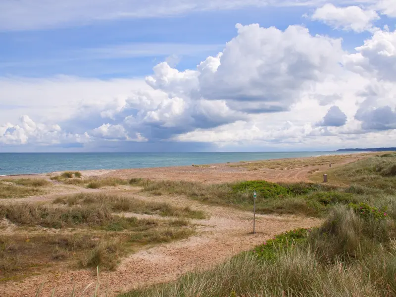 失恋了真的会“心碎”？