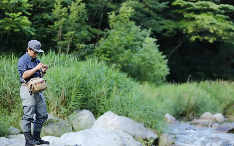 金龟婿上钓，嫁入豪门真的会让女人幸福吗