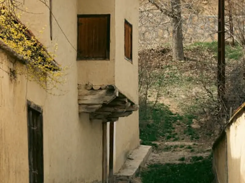 失恋的人真的会在失恋？原因你知道吗？