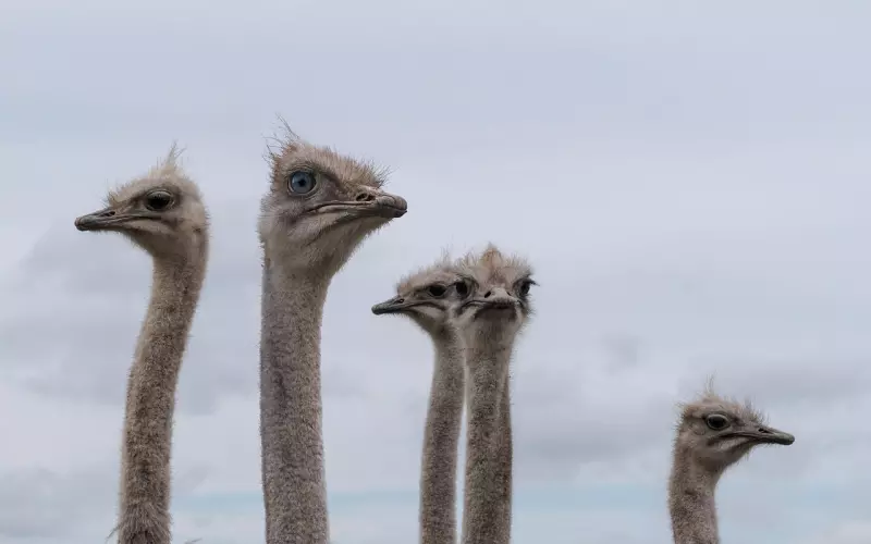 死缠烂打会不会挽回一个男人的心