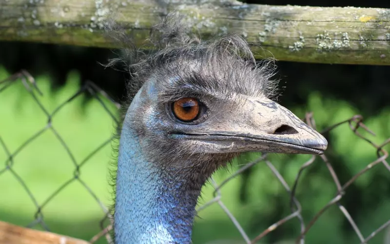 下一个是不是会更好？挽回爱情之你不再吸引他的原因