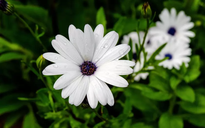 二婚会不会幸福？真的还是“原配”的好吗？