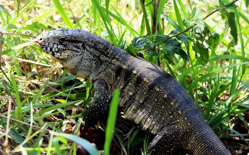 你会迫于外界的压力去寻找爱情吗？