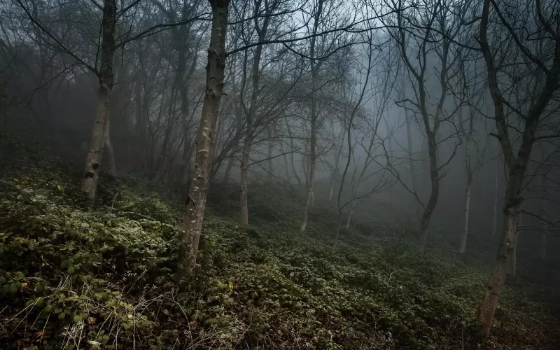 分手后拉黑还会复合吗 几率有多大