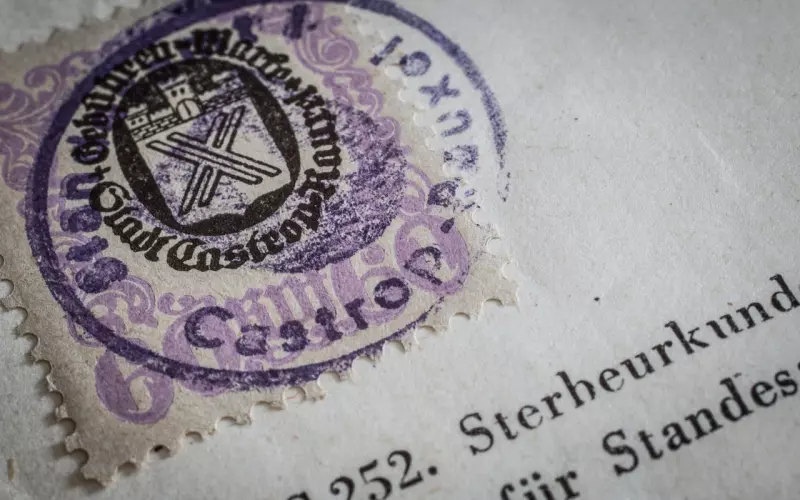 任性，是亲密的证明