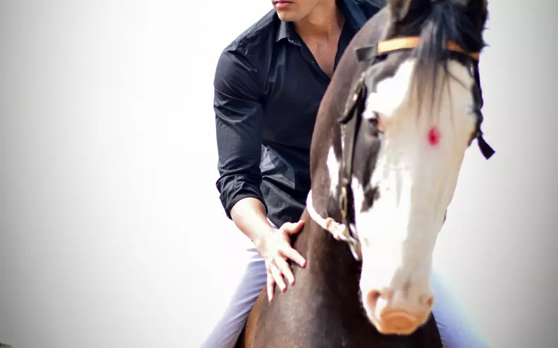 挽回天秤男：高效降低你们的矛盾，让天秤男重新爱上你