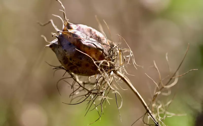 挽回处女男：电话号码等全拉黑，到底该怎么挽回对方呢