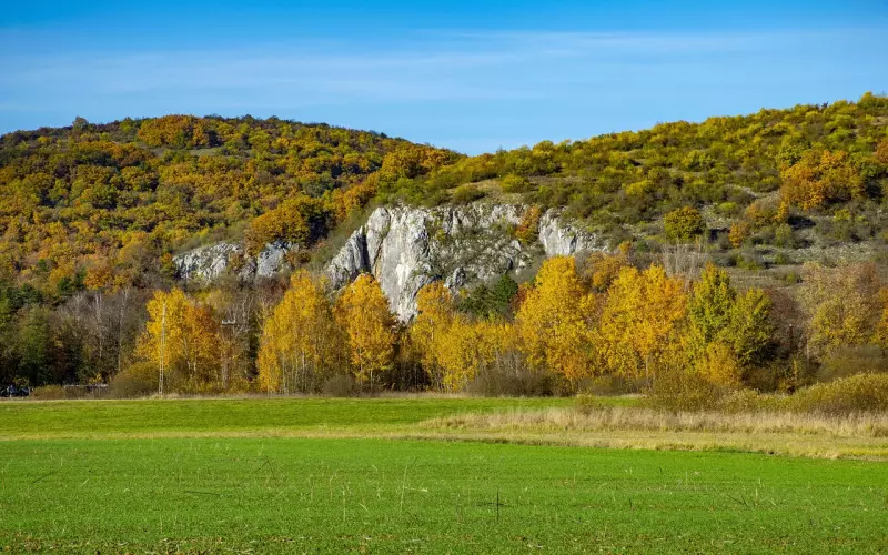 挽回男友：男友对我很失望，我该如何挽回他？