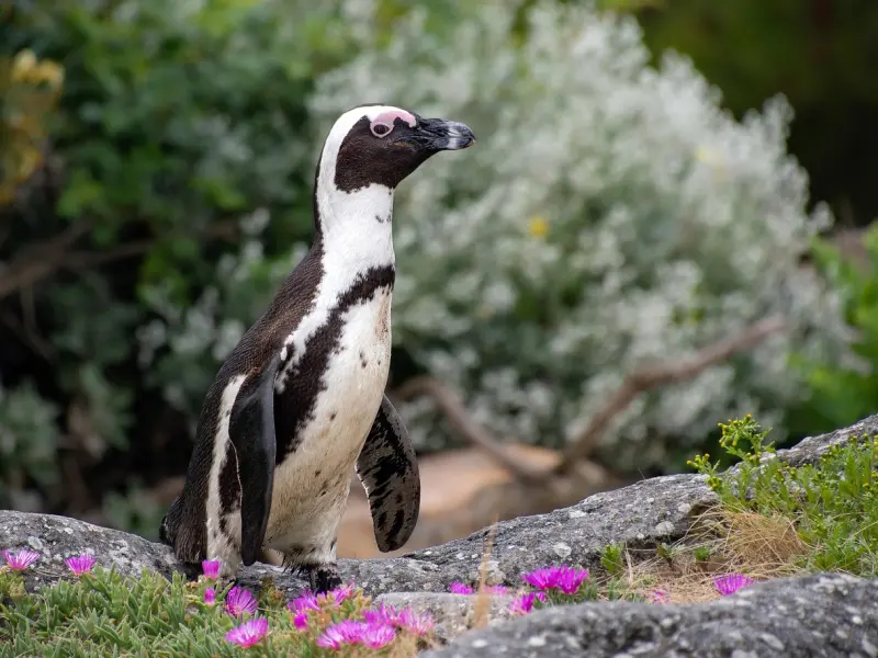 挽回前任：不会沟通的我，该怎么挽回？
