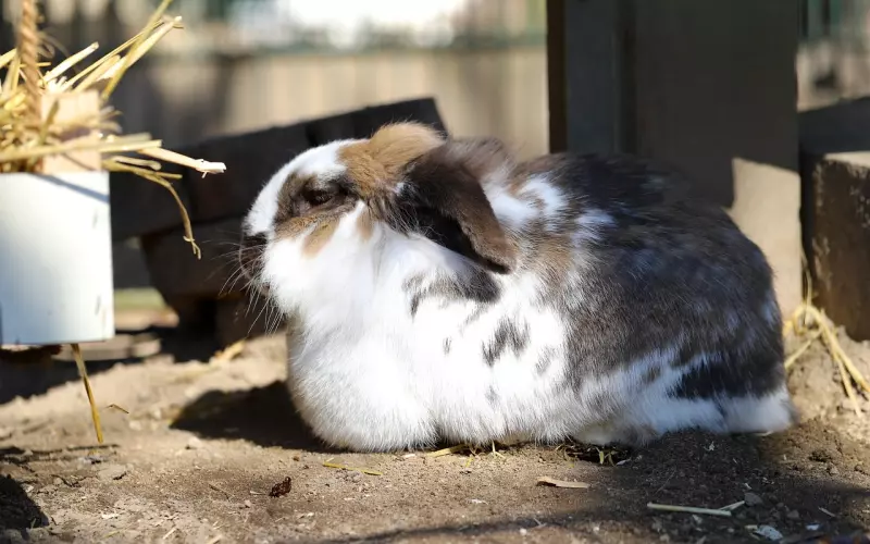 挽回白羊座男友的心，白羊男铁心分手，我怎么挽回