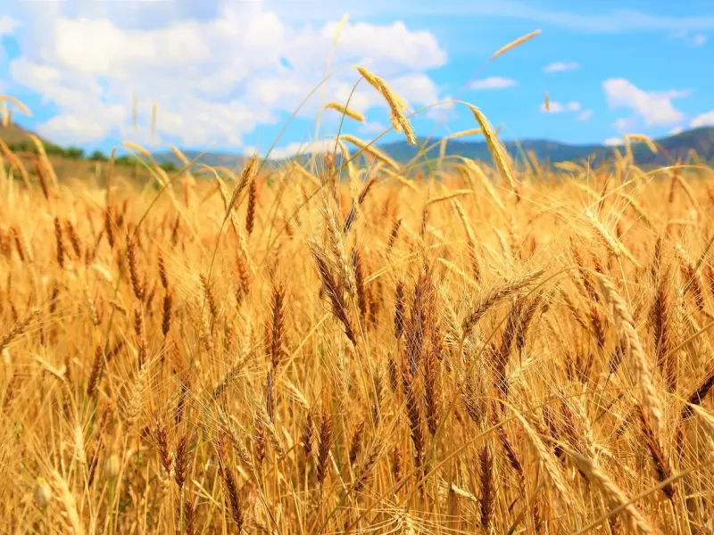 挽回处女座女友的心：处女座女友分手后挽回该如何做？