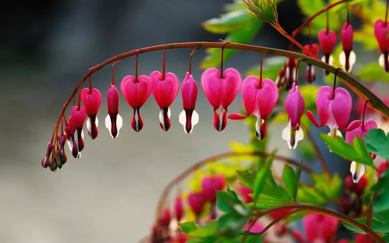 挽回水瓶座男友：挽回男朋友受伤的心，挽回爱情秘籍