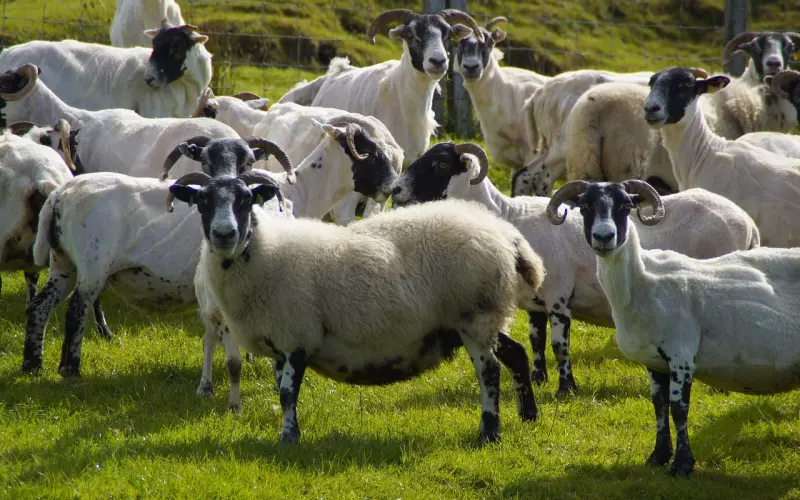 挽回白羊座男友：如何能不掉价的让男友主动来挽回你