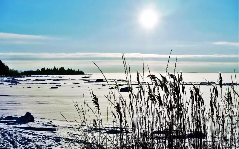 挽回男友拒绝却仍喊小名？5个有效方法帮你修复关系