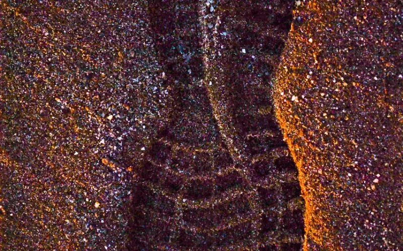 挽回男友：如何正确使用引导重新获得爱情