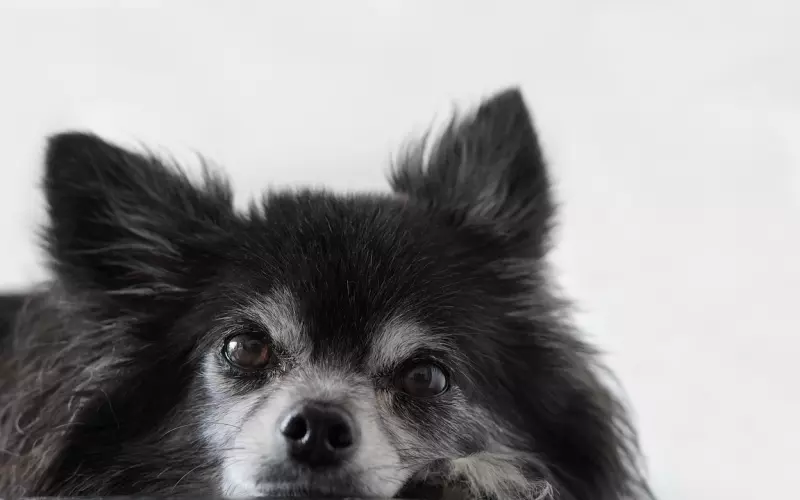 挽回男友：掌握情感挽回的4大技巧