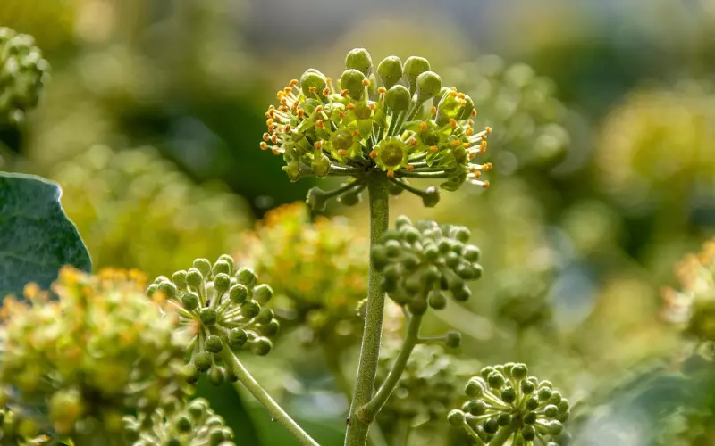 挽回男友系列：挽回男友的正确方法，软化男朋友的心