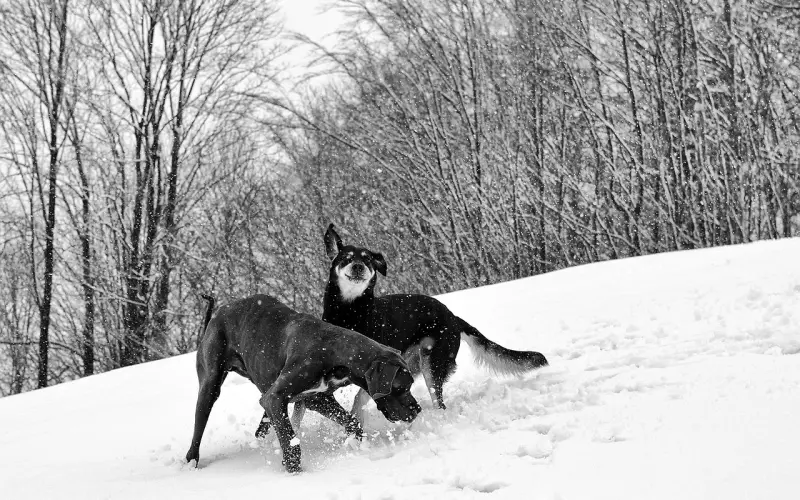 挽回男友系列：怎样挽回前男友？两大绝招，百发百中