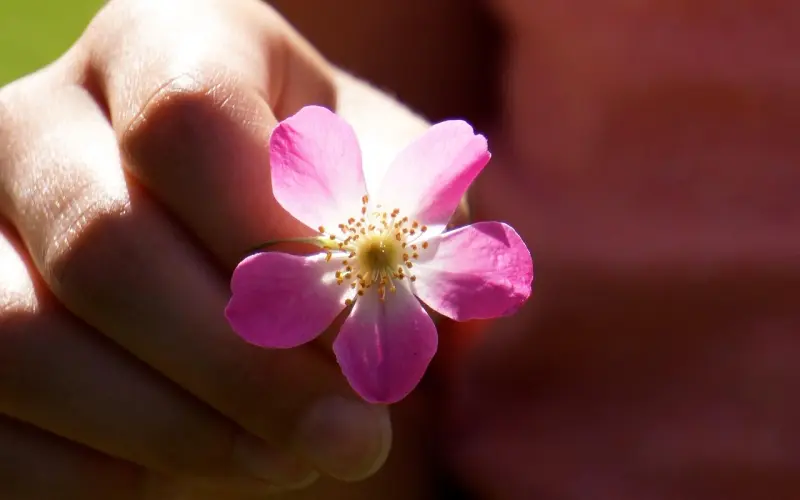 挽回男友：从容挽回男友技巧，给你实用修复恋情的方法