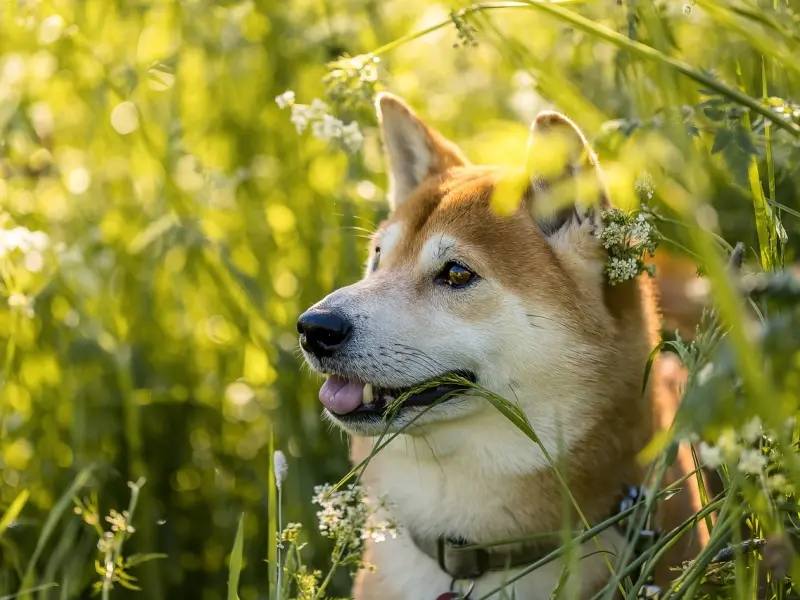 挽回男友：被男友拉黑后的挽回技巧