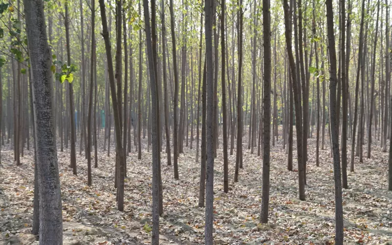 挽回男友：挽回爱情的话，听一次感动一次