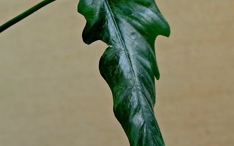 挽回男友：男友为什么离开你？