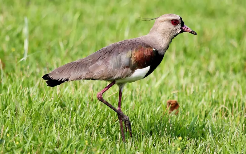 挽回男友：失恋的痛苦中不可自拔,想要挽回男友要做到这三点