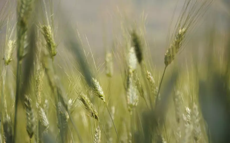 挽回前男友：分手成功挽回处女座男生的攻心术