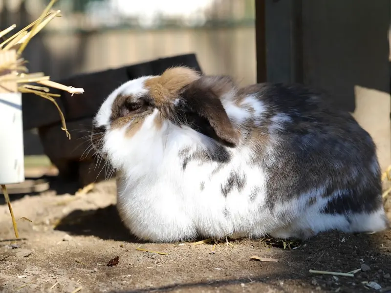 挽回前男友：看我是怎样快速挽回白羊座男友的