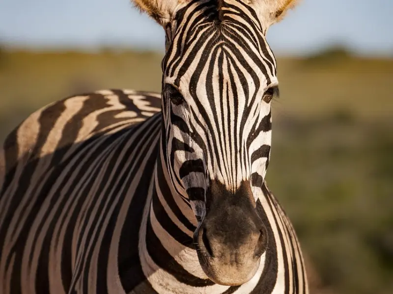 挽回女友：怎样去挽留一个女人？怎样做能挽回女友心？