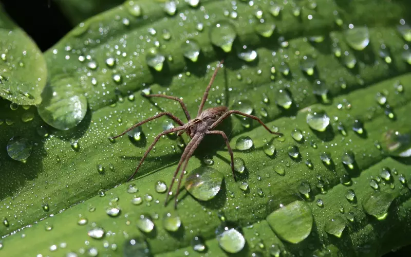 挽回女友：与女友之间矛盾重重，挽回女友还有希望吗？