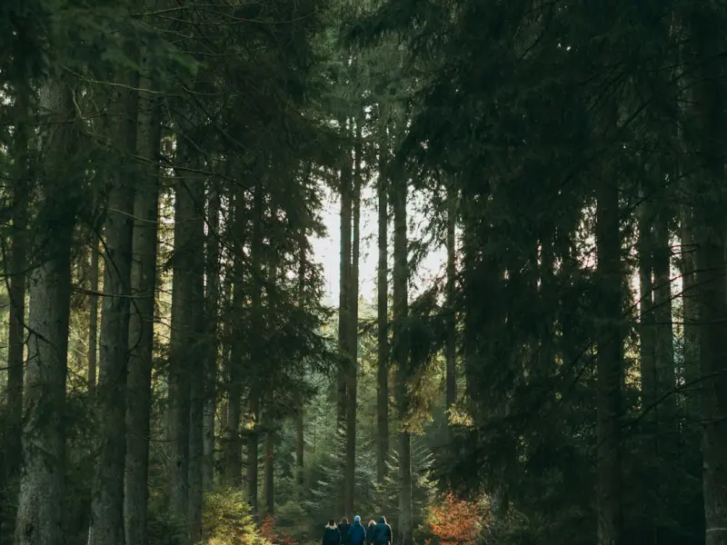 挽回女友：男生要挽回女友该怎么做?分手后也要坦然面对女友