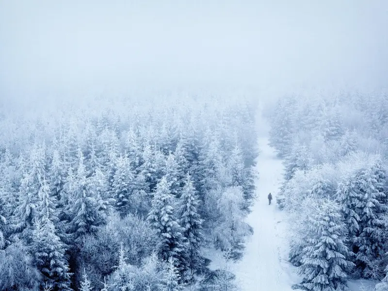 挽回老公的心：如何挽回老公？正确的老公出轨的处理方式