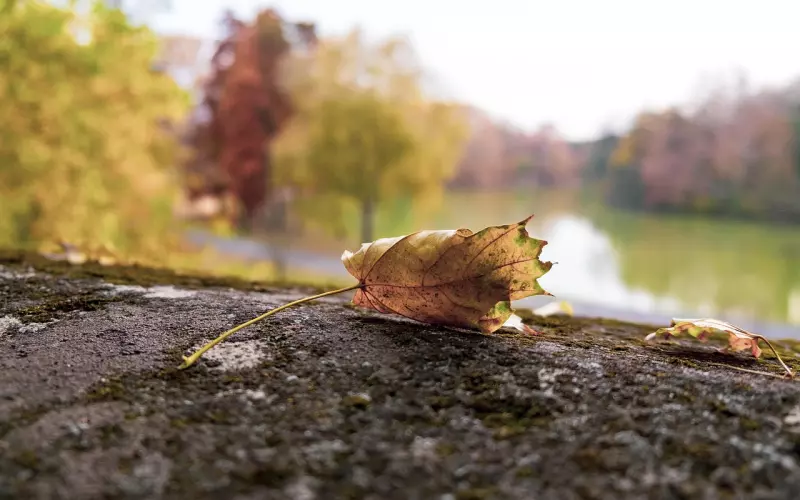 挽回狮子座女友？伤透心了，不想失去女友该怎么挽回？