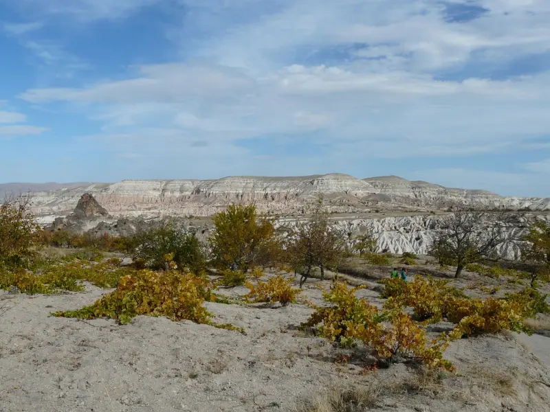 挽回金牛座男友：学会这三招，让不在乎你的金牛座男友主动回来
