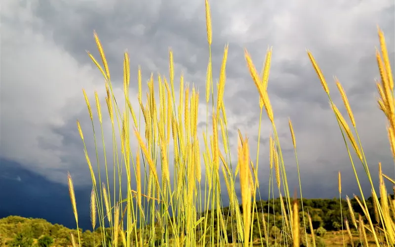 挽回处女座男友？处女座对待感情绝对不是儿戏，挽回男友很简单