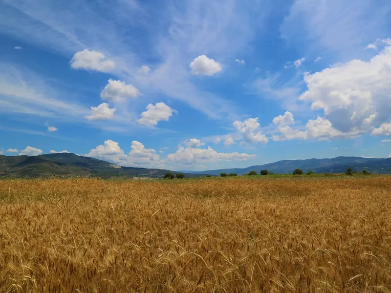 挽回处女座男友：教你三招挽回心爱的处女座男友