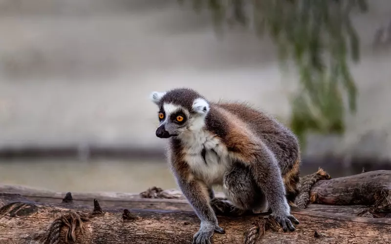 挽回老婆：要想挽回老婆你得先提升自己