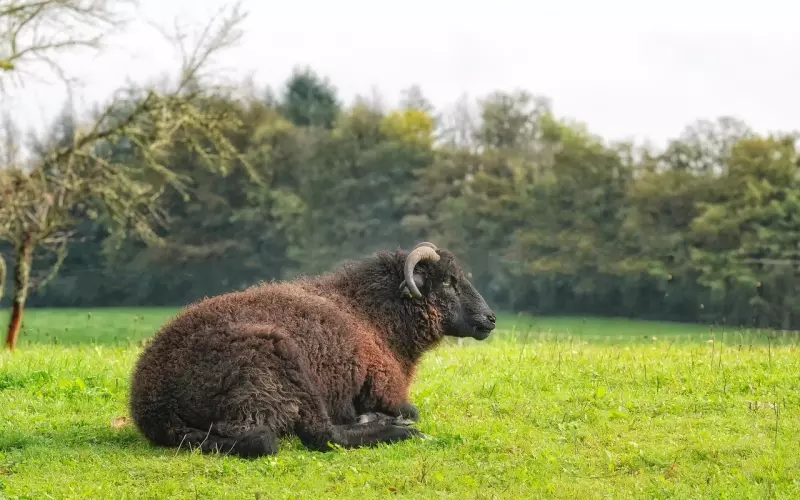 挽回星座男友：白羊座狠下心分手还能挽回吗