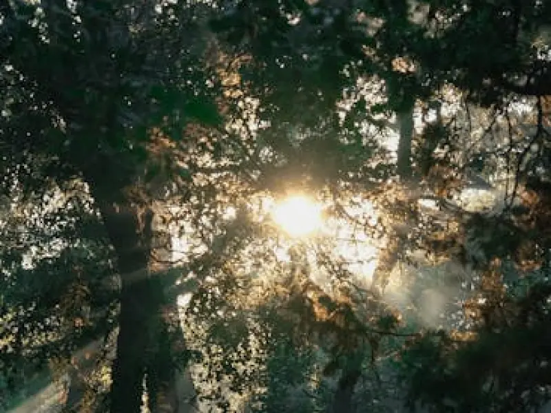 挽回星座男友：天蝎座不爱了还能挽回吗