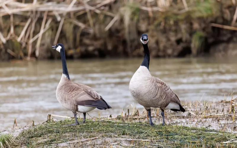 挽回男友：男友对你彻底死心的3个反常表现