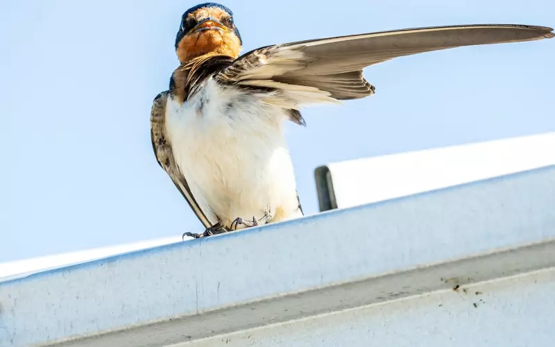 挽回男朋友：如何让他主动回到你身边