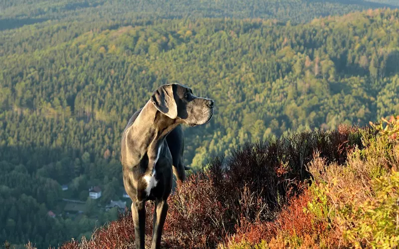 挽回男友：你那么爱他，为什么他不愿留下？