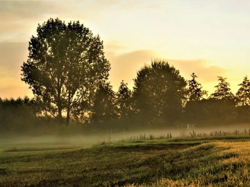 挽回女友：挽回死心女友的绝招，这才是让她回心转意的方法