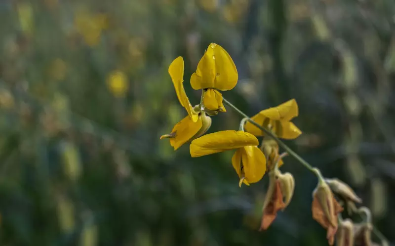 挽回老婆：挽回想离婚的老婆应该做点什么