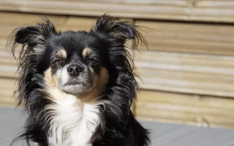 挽回男友系列：看我是怎样快速挽回男友的