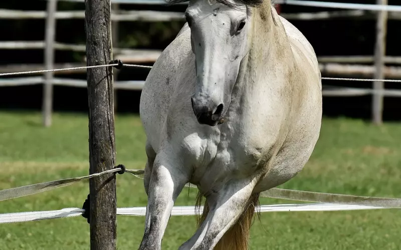 挽回男友：被分手无数次 坏脾气的男友对我忽冷忽热