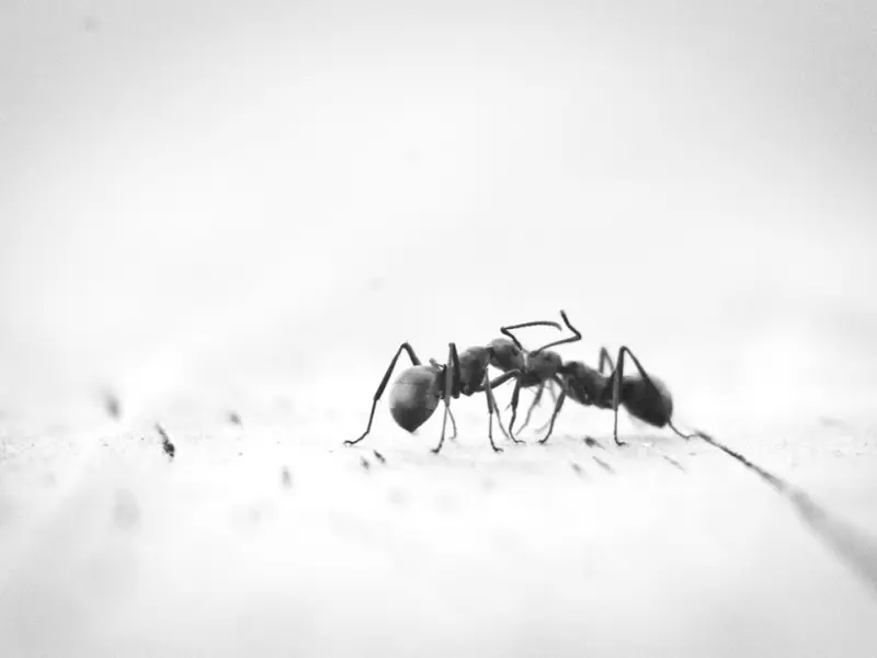 挽回女朋友：女朋友认为和我在一起很累坚决要分手，怎么挽回她